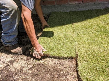 L'engazonnement de votre terrain, m&eacute;thodes et conseils pratiques