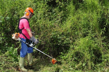 D&eacute;broussaillage d'un terrain &agrave; Laon, quelle m&eacute;thode selon la v&eacute;g&eacute;tation en place ?